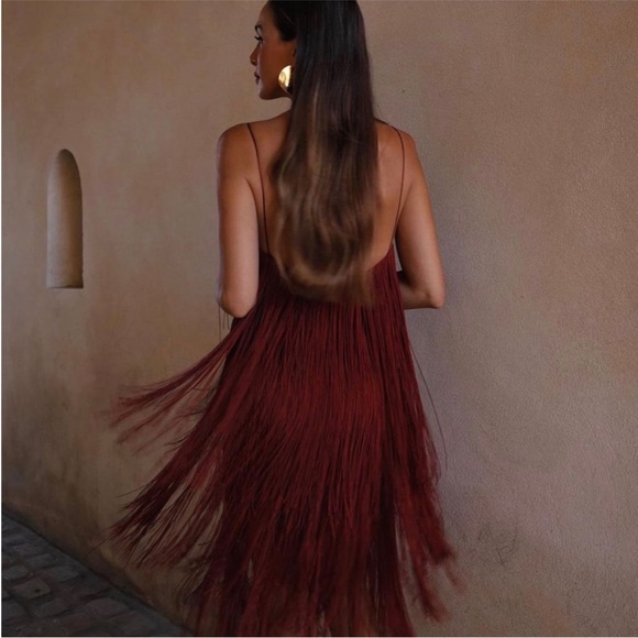 Zara Fringed Dress NWT - Picture 5 of 16